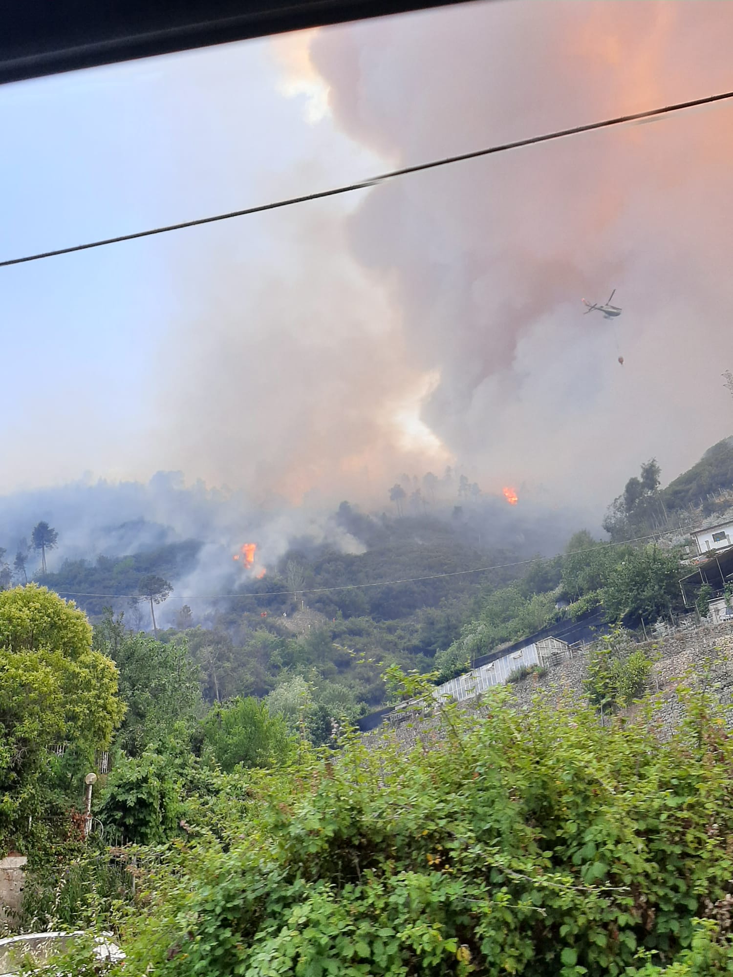 Decretato Lo Stato Di Grave Pericolosit Incendi Boschivi Su Tutto Il